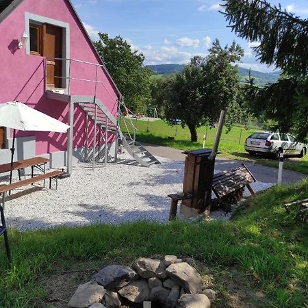 Apartmán u Rybáků v Pošumaví Volenice  Exterior foto
