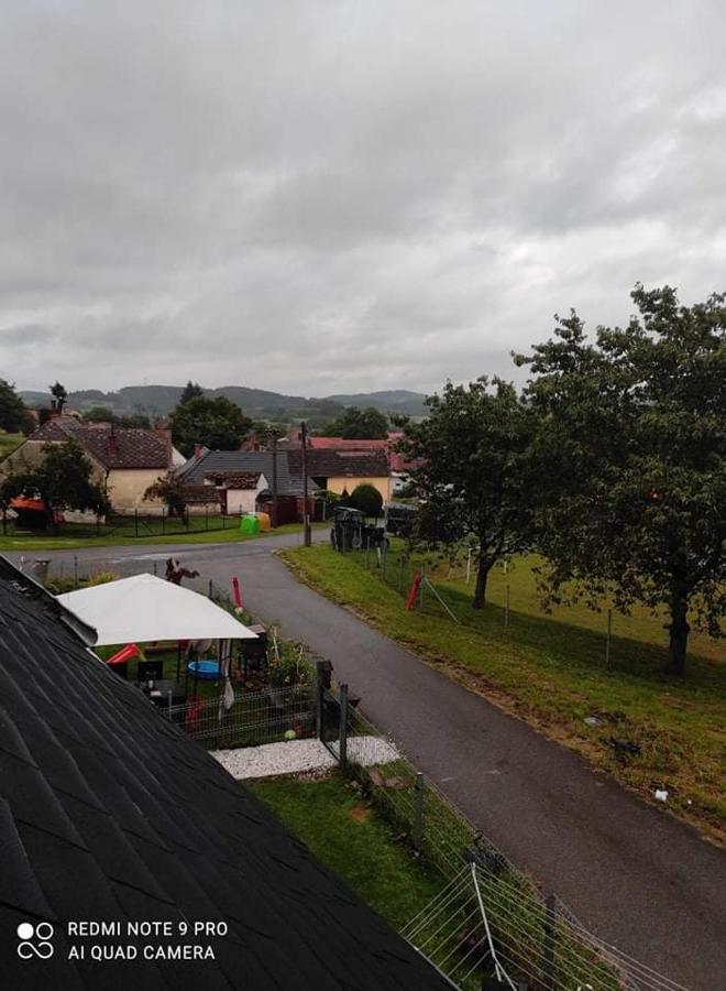 Apartmán u Rybáků v Pošumaví Volenice  Exterior foto
