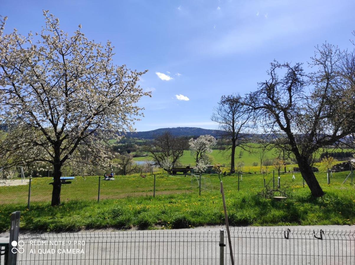 Apartmán u Rybáků v Pošumaví Volenice  Exterior foto